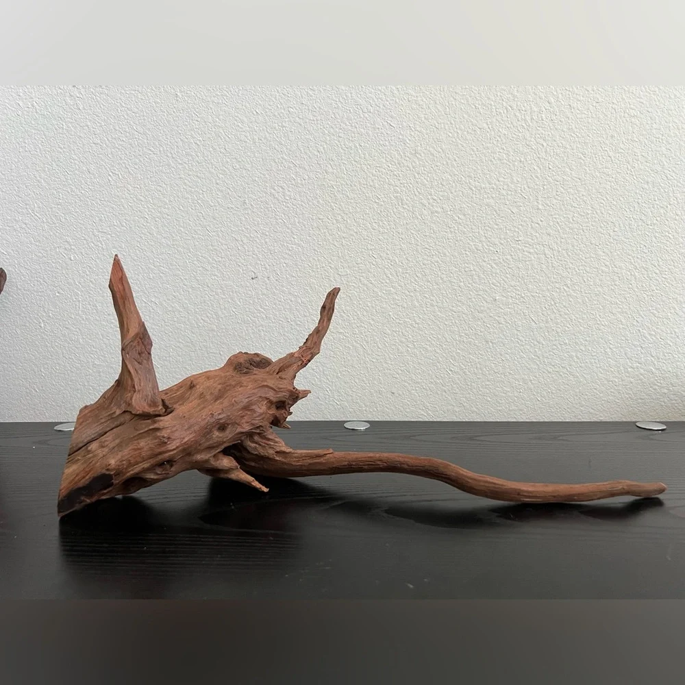 Natural Driftwood Sculpture